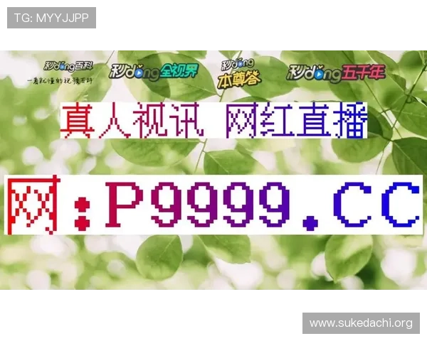 BG真人旗舰游戏厅如何保障玩家安全与隐私，打造最值得信赖的线上真人游戏平台